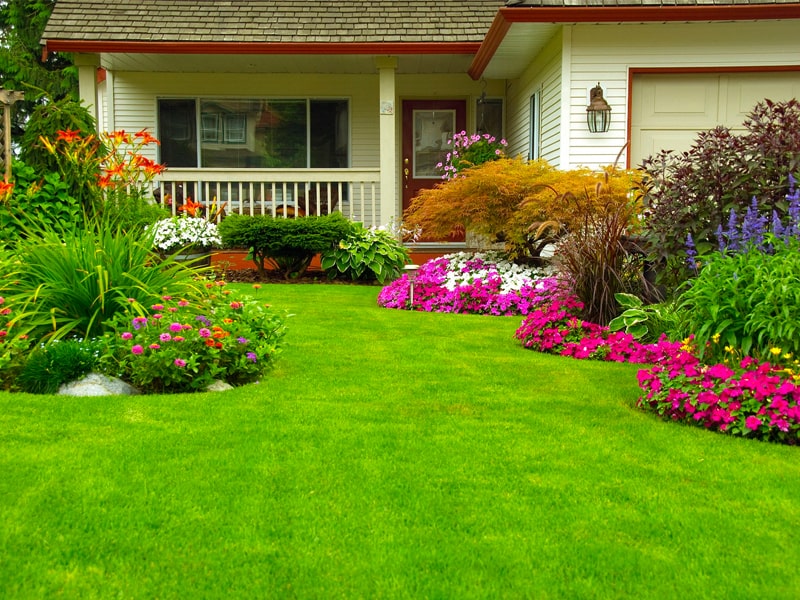 landscaped lawn in plainfield