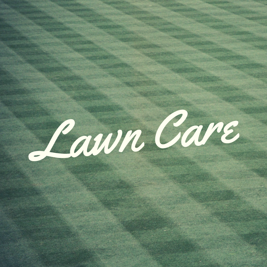 lawn care in plainfield