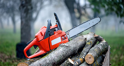 tree service in plainfield