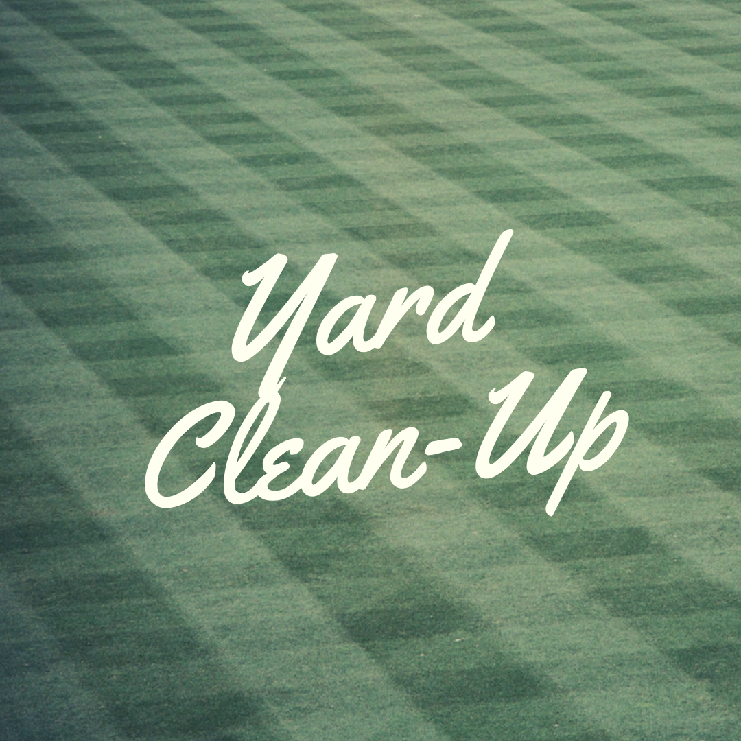 yard clean up in plainfield