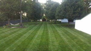 how to get lawn stripes